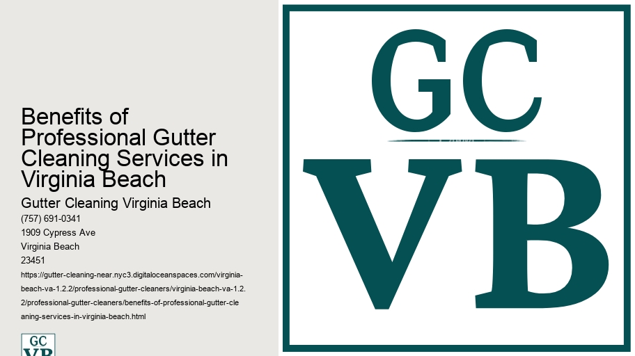 Benefits of Professional Gutter Cleaning Services in Virginia Beach 