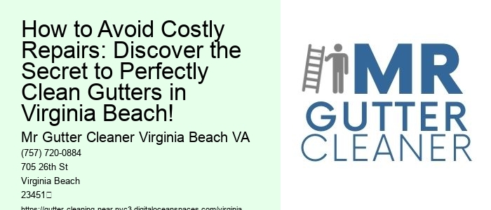 How to Avoid Costly Repairs: Discover the Secret to Perfectly Clean Gutters in Virginia Beach!