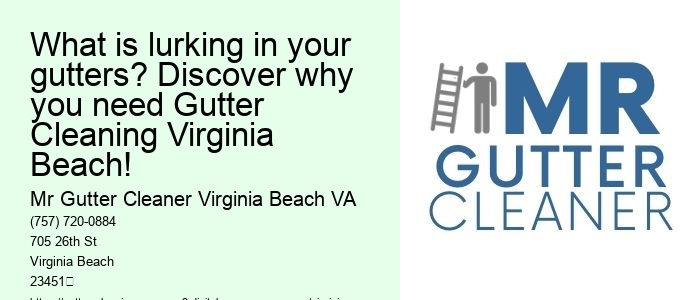 What is lurking in your gutters? Discover why you need Gutter Cleaning Virginia Beach!