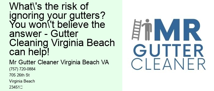 What's the risk of ignoring your gutters? You won't believe the answer - Gutter Cleaning Virginia Beach can help!