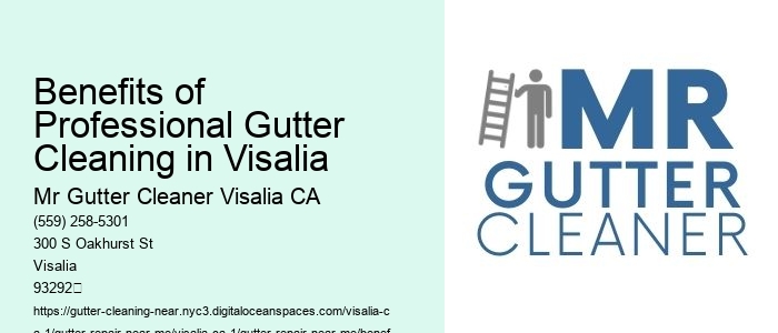 Benefits of Professional Gutter Cleaning in Visalia 