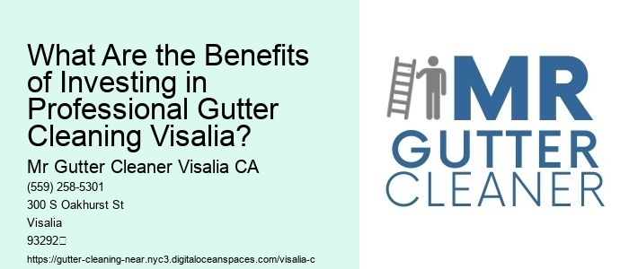 What Are the Benefits of Investing in Professional Gutter Cleaning Visalia?