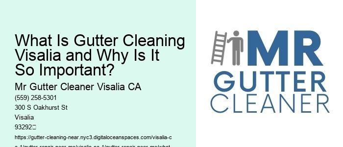 What Is Gutter Cleaning Visalia and Why Is It So Important? 