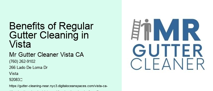 Benefits of Regular Gutter Cleaning in Vista 