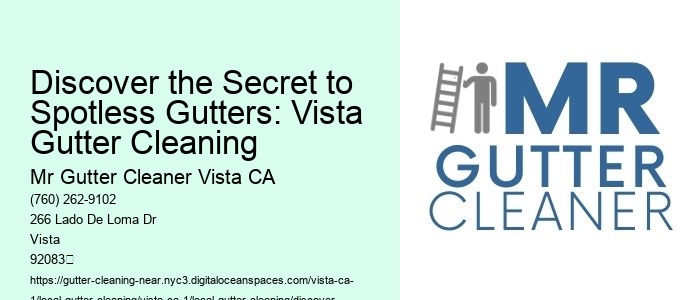Discover the Secret to Spotless Gutters: Vista Gutter Cleaning