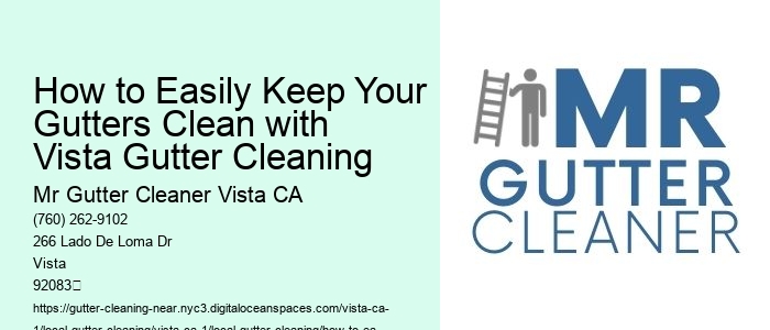 How to Easily Keep Your Gutters Clean with Vista Gutter Cleaning 