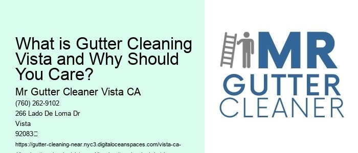 What is Gutter Cleaning Vista and Why Should You Care? 