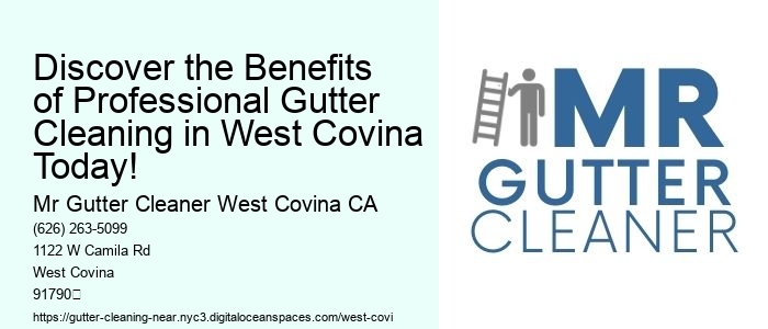 Discover the Benefits of Professional Gutter Cleaning in West Covina Today!