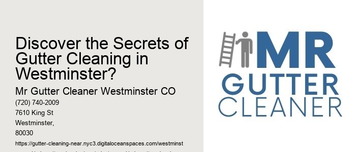 Discover the Secrets of Gutter Cleaning in Westminster?