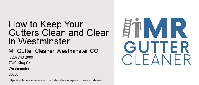 How to Keep Your Gutters Clean and Clear in Westminster 