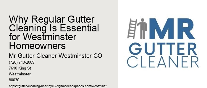 Why Regular Gutter Cleaning Is Essential for Westminster Homeowners 