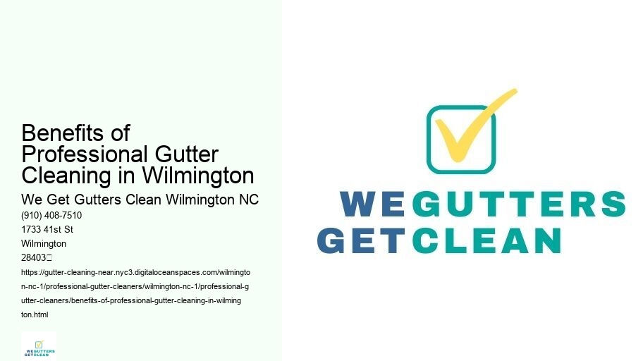Benefits of Professional Gutter Cleaning in Wilmington 