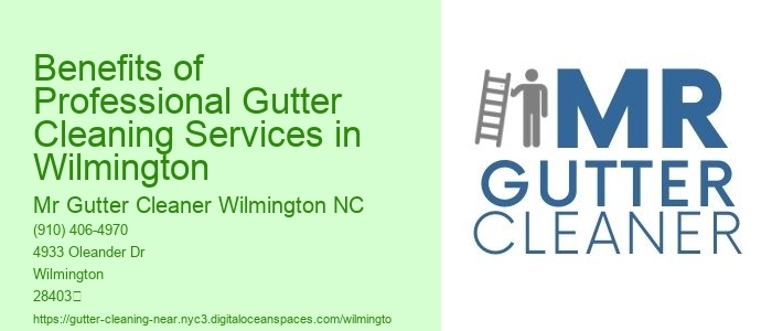 Benefits of Professional Gutter Cleaning Services in Wilmington 