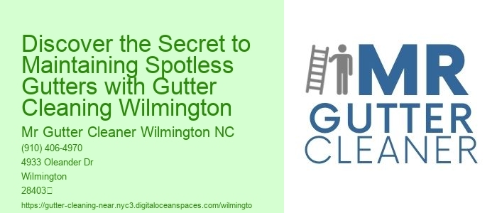 Discover the Secret to Maintaining Spotless Gutters with Gutter Cleaning Wilmington