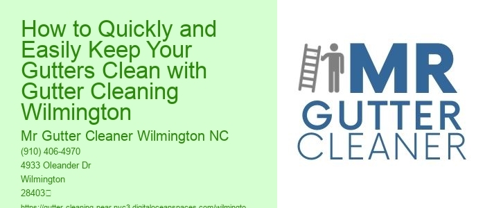 How to Quickly and Easily Keep Your Gutters Clean with Gutter Cleaning Wilmington 