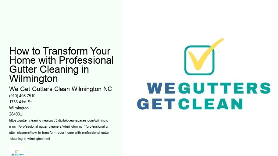 How to Transform Your Home with Professional Gutter Cleaning in Wilmington 