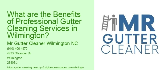 What are the Benefits of Professional Gutter Cleaning Services in Wilmington?
