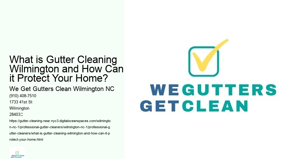 What is Gutter Cleaning Wilmington and How Can it Protect Your Home? 