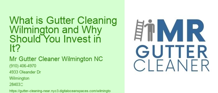 What is Gutter Cleaning Wilmington and Why Should You Invest in It? 