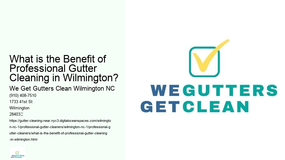 What is the Benefit of Professional Gutter Cleaning in Wilmington?