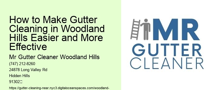 How to Make Gutter Cleaning in Woodland Hills Easier and More Effective 