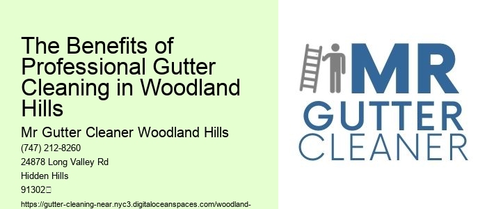 The Benefits of Professional Gutter Cleaning in Woodland Hills 