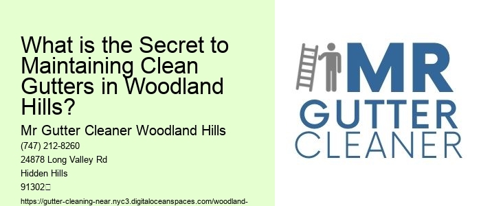 What is the Secret to Maintaining Clean Gutters in Woodland Hills?
