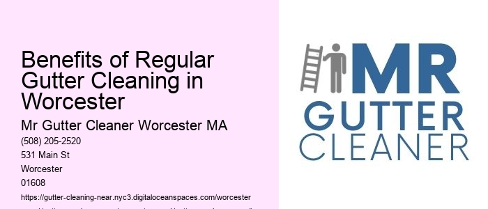 Benefits of Regular Gutter Cleaning in Worcester 