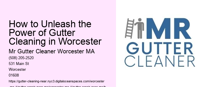 How to Unleash the Power of Gutter Cleaning in Worcester 