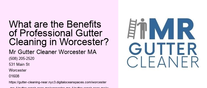 What are the Benefits of Professional Gutter Cleaning in Worcester?