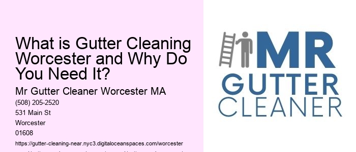 What is Gutter Cleaning Worcester and Why Do You Need It? 
