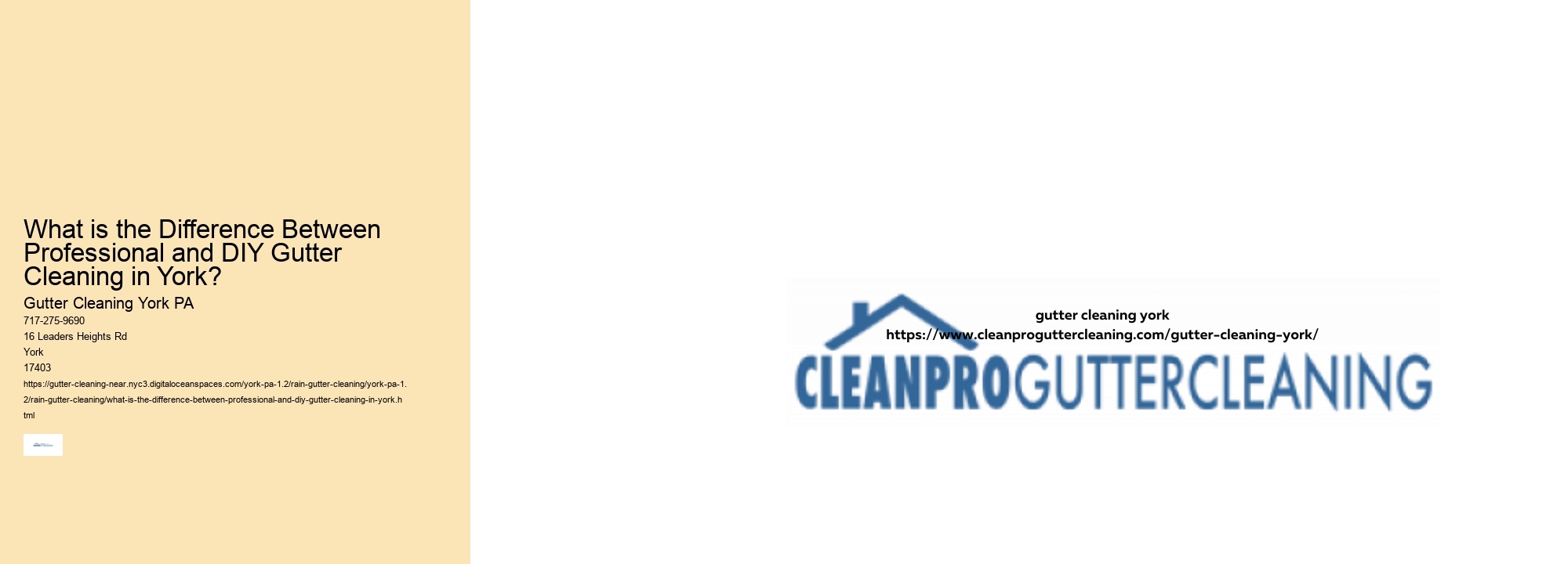 What is the Difference Between Professional and DIY Gutter Cleaning in York?